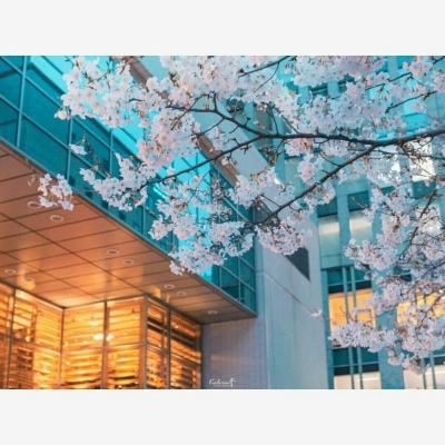 波胆app官网app下载